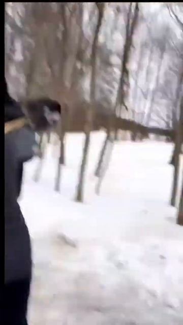 КРЫСА НАПАЛА СЗАДИ видео с 30.01.21 #максващенко #треш смотреть онлайн