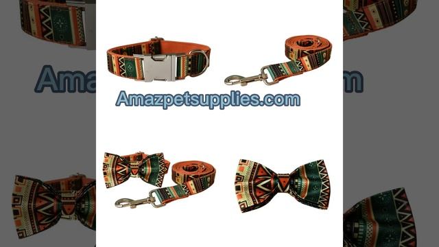 About dog collar and leash, harness from Amaz Pet Supplies смотреть онлайн