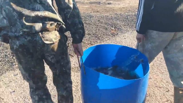 31 августа 2017 г. смотреть онлайн