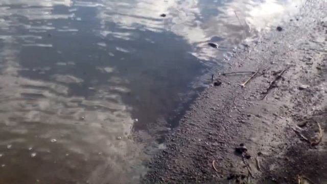 Охота на лягушку смотреть онлайн