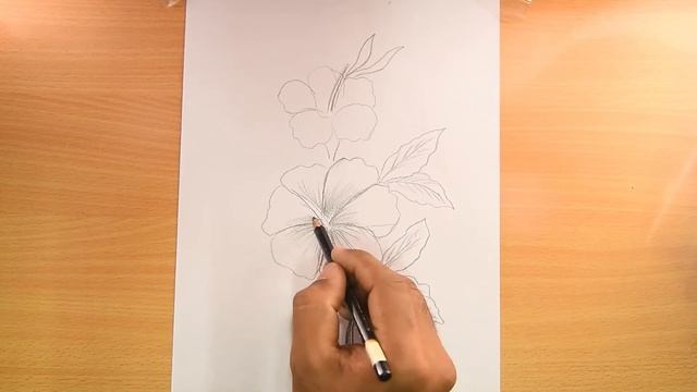 how to draw a hibiscus flower easy смотреть онлайн