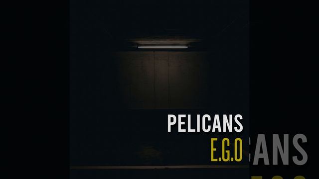 Pelicans смотреть онлайн