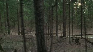 Багги KTA K5 (cinematic video)