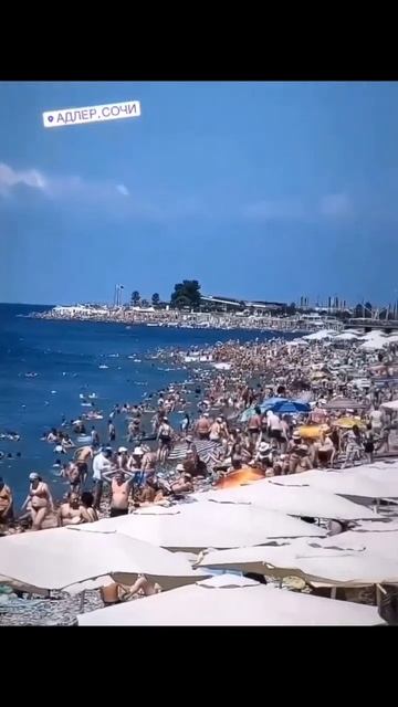 Забитые пляжи в Сочи. А почему не Крым, что-то случилось? смотреть онлайн