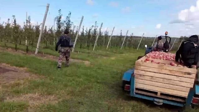 17 сентября 2022 г.(4) смотреть онлайн