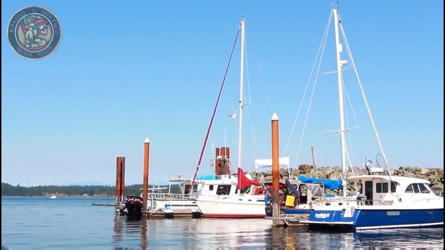 RELAJANTE sonido de PUERTO pesquero, BARCOS en el mar NATURALEZA Gaviotas volando смотреть онлайн