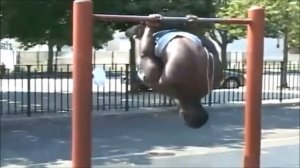 Hannibal For King and Barilla - Street Workout Demonstration