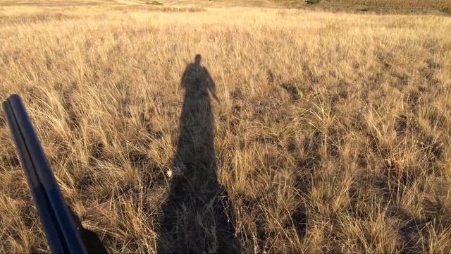 Снова по перепелу. (Часть 1) смотреть онлайн