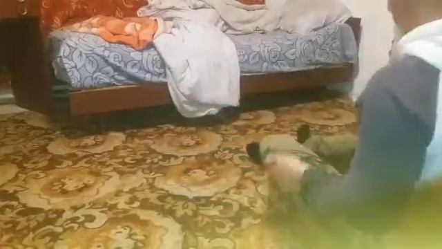 Перестрелка 2019 смотреть онлайн