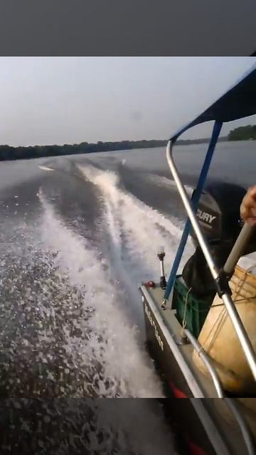 mercury 40 hp 4t com helice de aço inox 11 1/8 - 13 смотреть онлайн