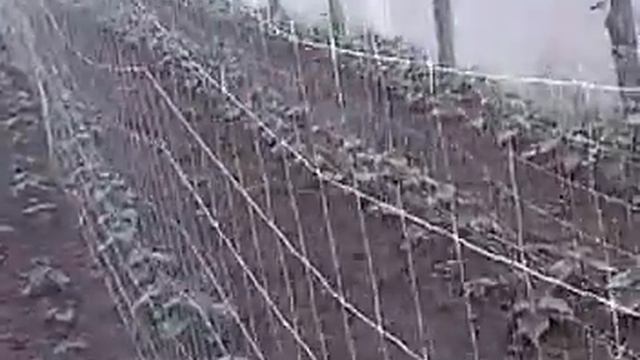 Огурцы смотреть онлайн