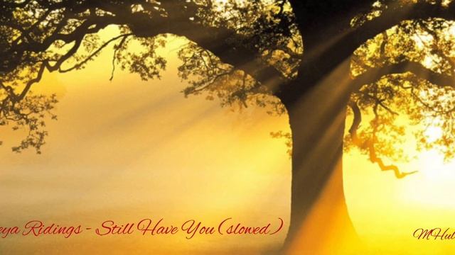 Freya Ridings - Still Have You (slowed) смотреть онлайн