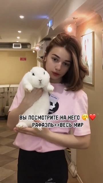 а какое твое тотемное животное? #зайкафе #зоопарк #кролик #кафесживотными #антикафемосква смотреть онлайн