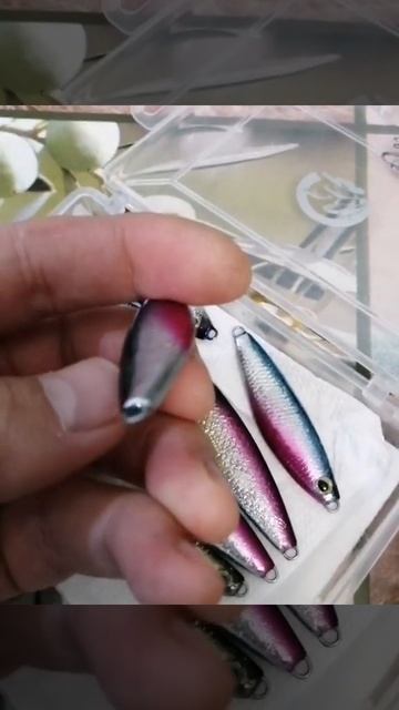 Пилькеры, 26-27 гр.