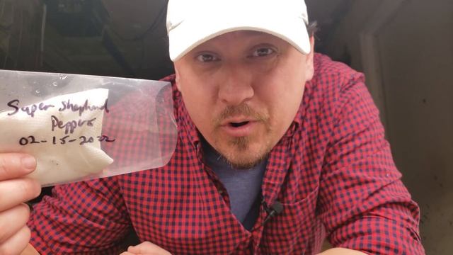 Planting Sprouted Seeds - Garden Quickie Episode 44 смотреть онлайн