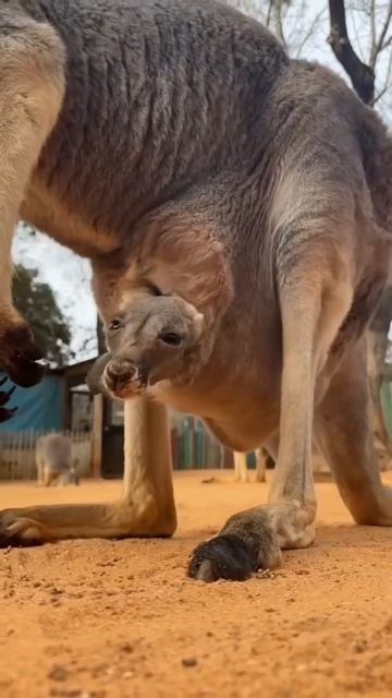 10 February 2024 смотреть онлайн