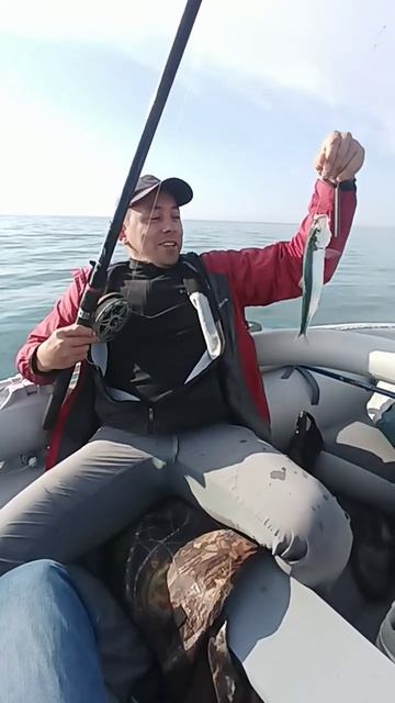 Рыбалка в Сочи на лодке Badger ARL 360. Селедка и ставрида на самодур.
