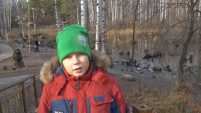 Пруд с утками смотреть онлайн