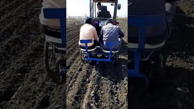 Картофелесажалка уже в работе смотреть онлайн