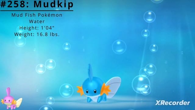 Pokédex #258: Mudkip
