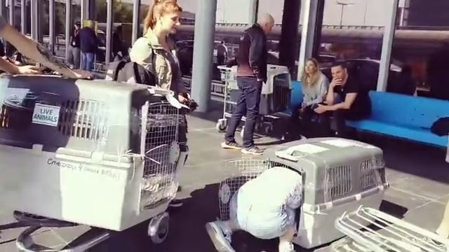 Чехия 05 мая 2018 смотреть онлайн