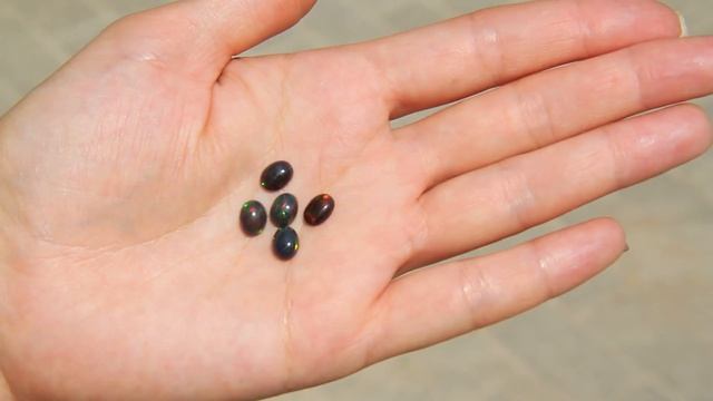 Краски опалов. Архивное видео смотреть онлайн