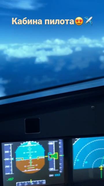 Кабина пилота AirbusA320 | Авиасимулятор | Полёт в кабине пилота | Центр полётов СПб смотреть онлайн