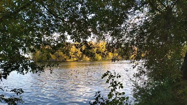 Чайки кружат низко смотреть онлайн