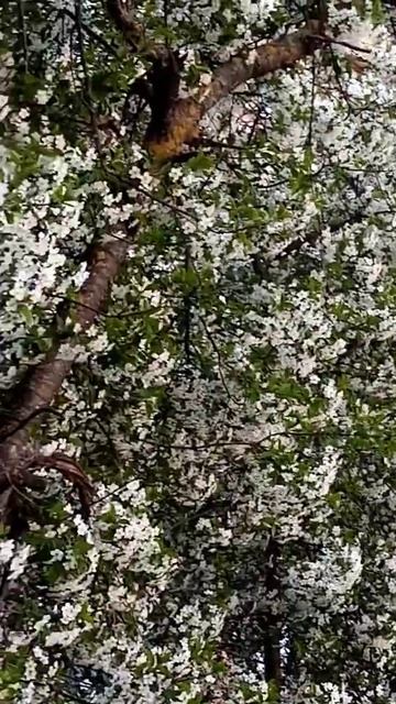 Приметы на 17 мая смотреть онлайн