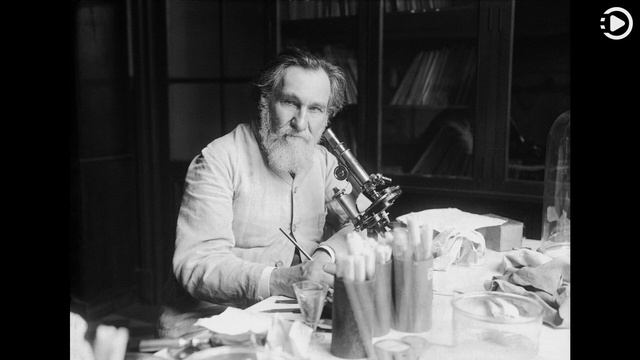 Wikipedia Picture of the Day: 2022-05-15 - Élie Metchnikoff (Narrated by Emma) смотреть онлайн