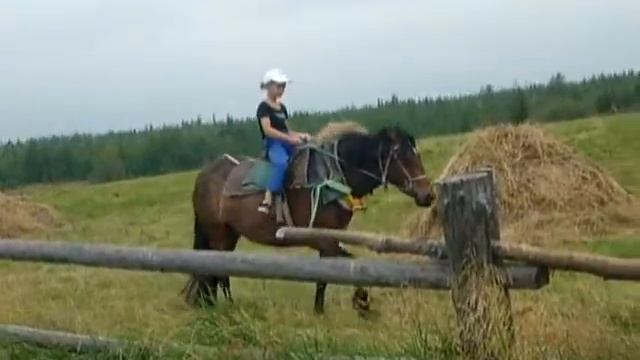 Loshadka смотреть онлайн