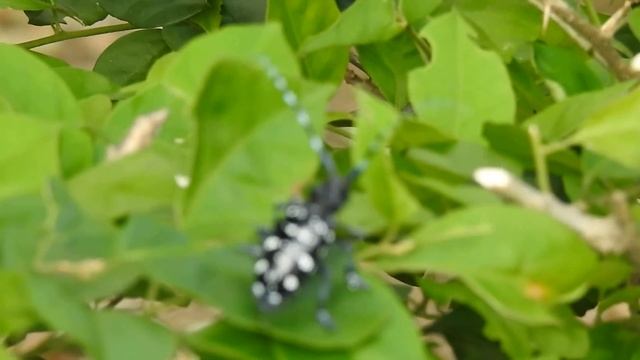 20190424 0391 смотреть онлайн