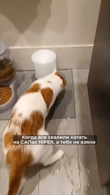 А что ещё делать без САПа HIPER этим летом? смотреть онлайн