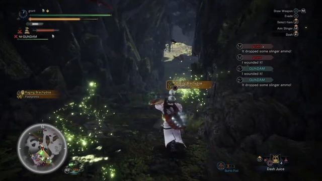 Pukei Patrol | Sapphire Star Challenge | Duo | 6'57''73