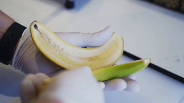 Mora Iced Creamery! смотреть онлайн