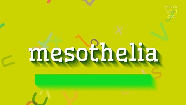 MESOTHELIA - HOW TO PRONOUNCE IT? смотреть онлайн