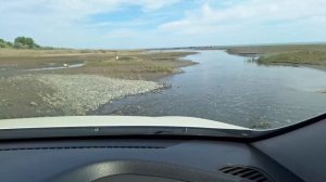Куда поехать в Дагестане? Самурский лес. Дерево Платан. Реальный отзыв, мнение и вывод