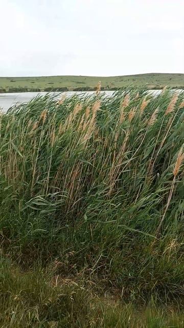 рыбалка смотреть онлайн