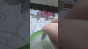 замачиваю семена томатов в эпине