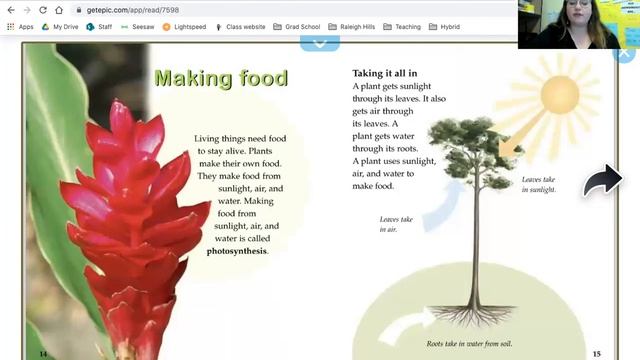 A Rainforest Habitat Read Aloud смотреть онлайн