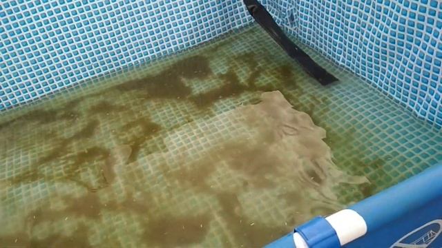 приключения городских в деревне или как мы купали уток. смотреть онлайн