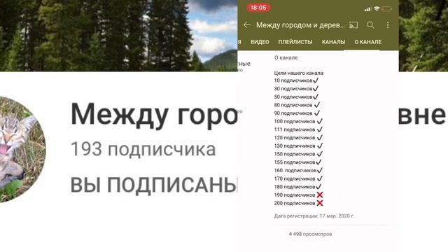 О прогулке с попугаем /гуляем с попугаем /Оценка каналов смотреть онлайн