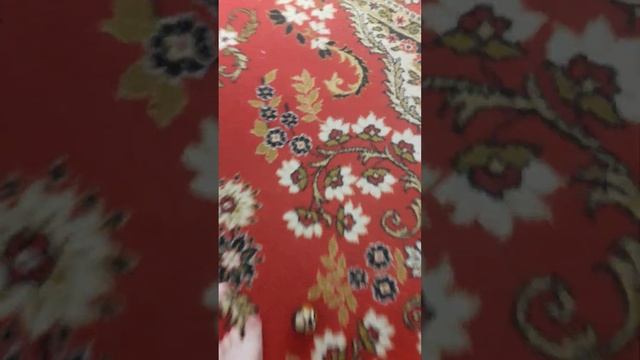 злая собака смотреть онлайн