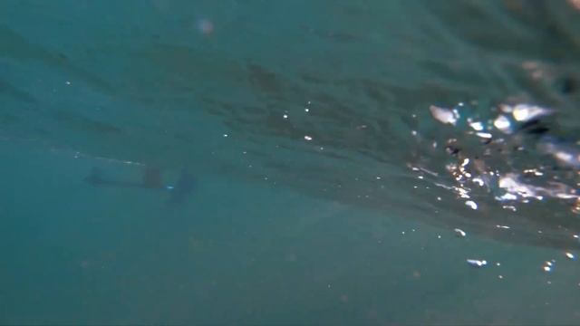 Derek Hama taking foiling to the next level, welcome to the Blue Planet team. смотреть онлайн