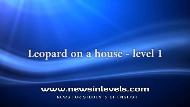 Leopard on a house - level 1 смотреть онлайн