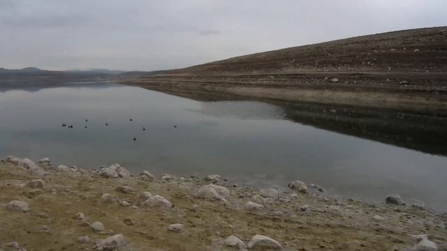 TÜFEK TUTUKLULUK YAPTI!!!ÖRDEK AVI YEŞİLBAŞ SEZON SONU MUHTEŞEM VURUŞLAR DUCK HUNTING УТИНАЯ ОХОТ смотреть онлайн