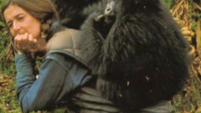 Dian Fossey For Kids