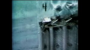 «Вселенная 25» (эксперимент Джона Кэлхуна)