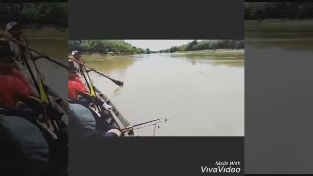 Alfafishingclub Tour Dusun Sungai Rotan смотреть онлайн