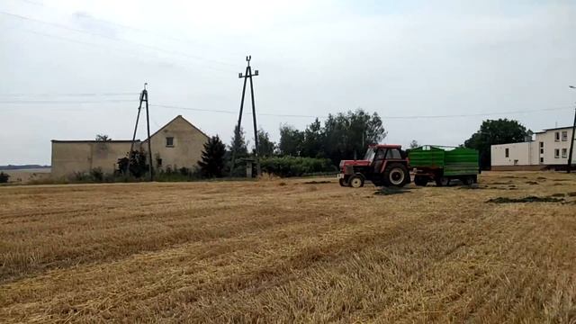 Podsumowanie żniw 2019||słoma||talerzowanie||zetor 16145 x 2///Lemken rubin 9+Tolmet astat 300 смотреть онлайн